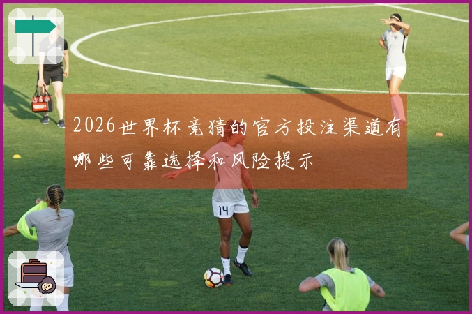 2026世界杯竞猜的官方投注渠道有哪些可靠选择和风险提示