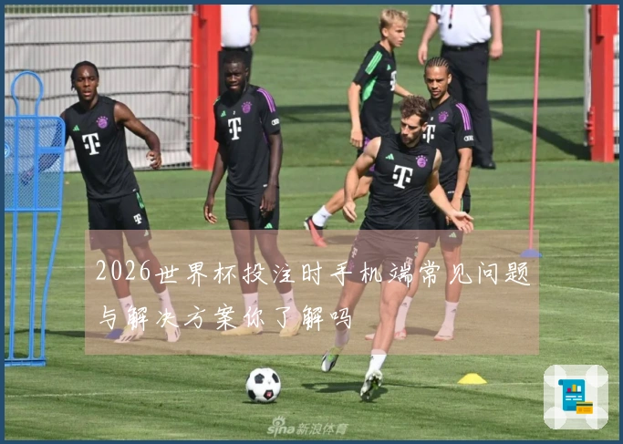 2026世界杯投注时手机端常见问题与解决方案你了解吗