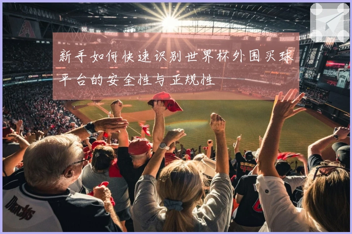 新手如何快速识别世界杯外围买球平台的安全性与正规性