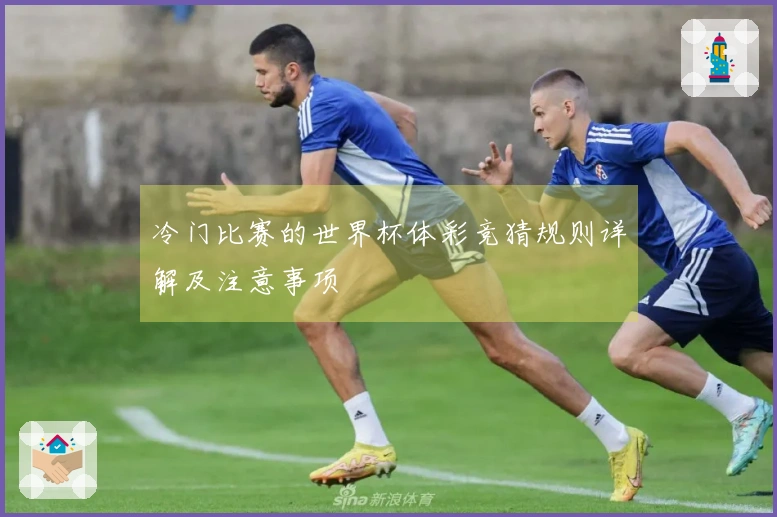 冷门比赛的世界杯体彩竞猜规则详解及注意事项