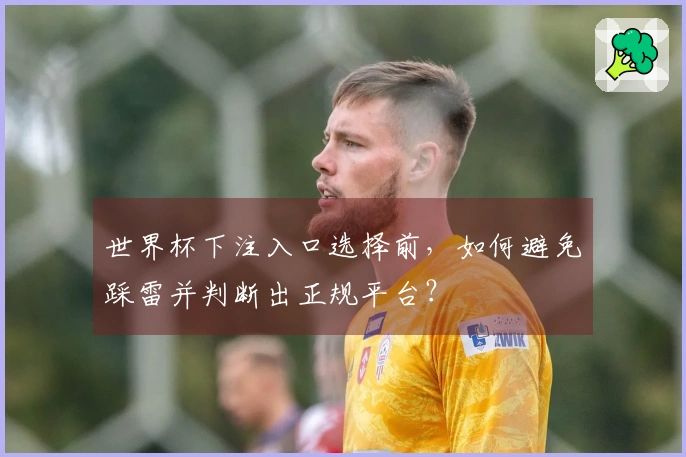 世界杯下注入口选择前，如何避免踩雷并判断出正规平台？