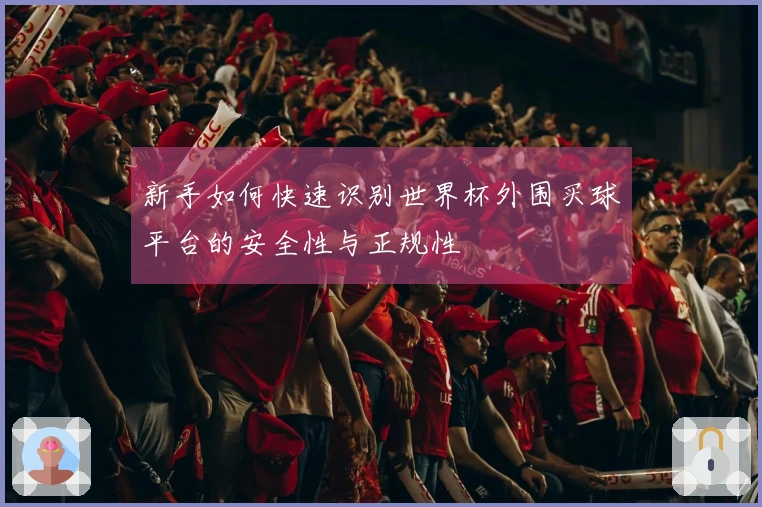 新手如何快速识别世界杯外围买球平台的安全性与正规性