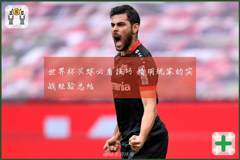 世界杯买球必看技巧 精明玩家的实战经验总结
