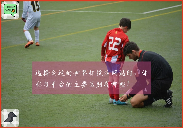 选择合适的世界杯投注网站时，体彩与平台的主要区别有哪些？
