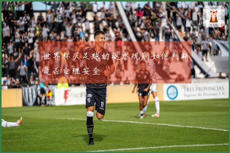 世界杯买足球的返水规则如何判断是否合理安全