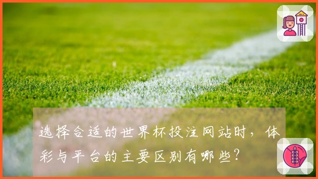 选择合适的世界杯投注网站时，体彩与平台的主要区别有哪些？